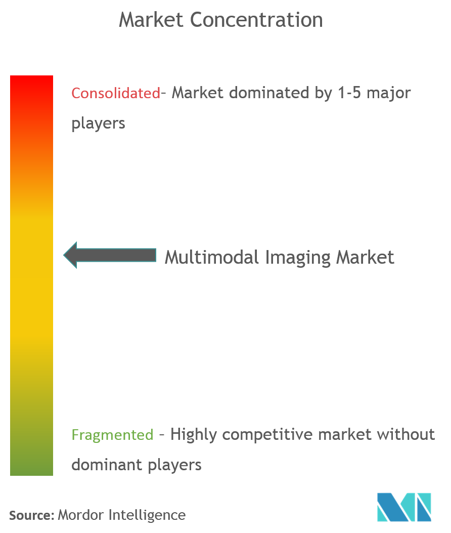 Multimodal Imaging Market Concentration GE Healthcare, Siemens Healthineers AG, Koninklijke Philips N.V., Mediso Ltd., Spectrum Dynamics Medical
